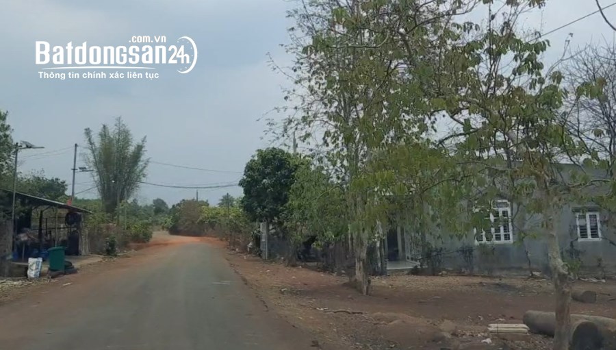 Bán gấp 2 lô đất 454m2 đã tách 2 sổ ngay Khu Công Nghiệp 328 triệu