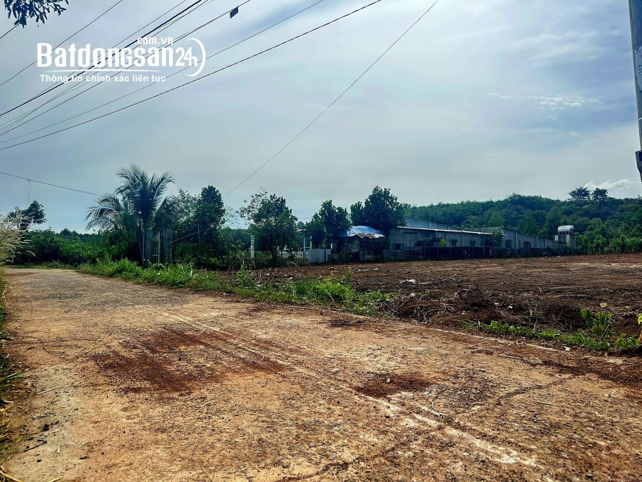 Bán đất 1000m2 giá rẻ Đường ĐT, Xã An Khương, Huyện Hớn Quản giá 160 triệu