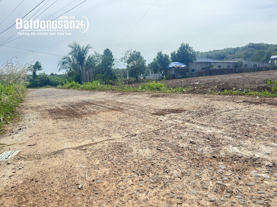Bán đất 1000m2 giá rẻ Đường ĐT, Xã An Khương, Huyện Hớn Quản giá 160 triệu