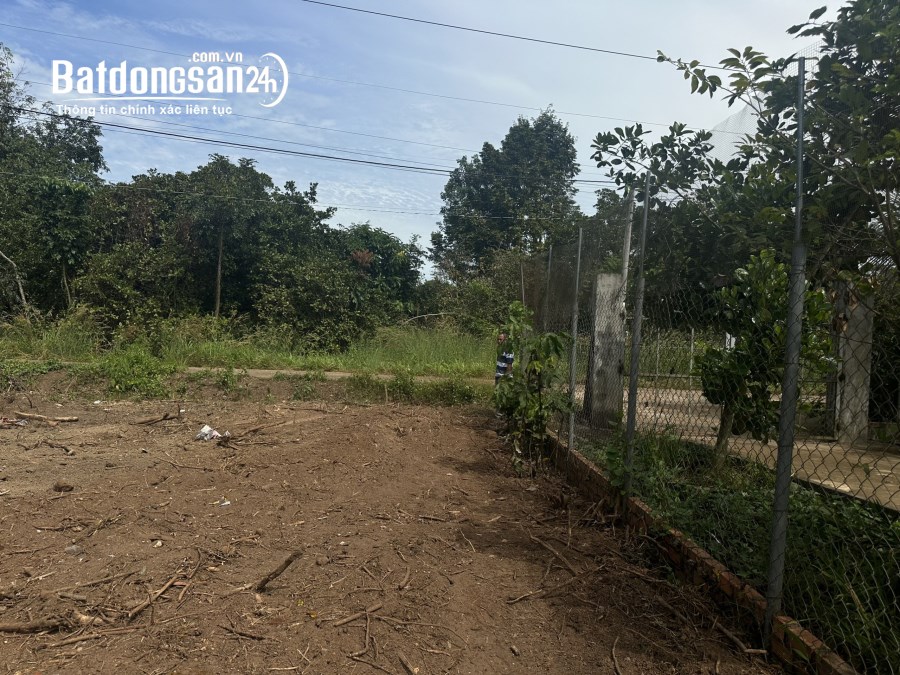 Bán đất 1000m2 giá rẻ Đường ĐT, Xã An Khương, Huyện Hớn Quản giá 160 triệu