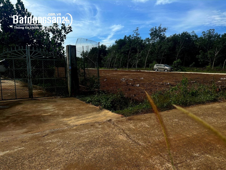 Bán đất 1000m2 giá rẻ Đường ĐT, Xã An Khương, Huyện Hớn Quản giá 160 triệu