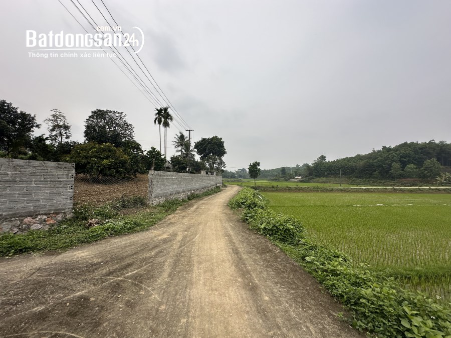TÁCH BÁN LÔ ĐÁT 1000m2 FULL THỔ CƯ Đường Quốc lộ 21A, Xã Thanh Lương,