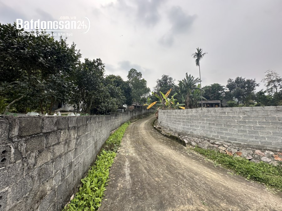 TÁCH BÁN LÔ ĐÁT 1000m2 FULL THỔ CƯ Đường Quốc lộ 21A, Xã Thanh Lương,