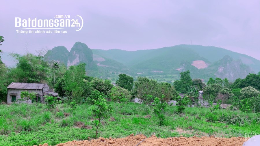 BÁN GẤP LÔ ĐẤT CÓ DT 4000m2 ( 350m2 ONT) VIEW NHÌN TOÀN BỘ RA SÂN GOLF PHƯỢNG HOÀNG