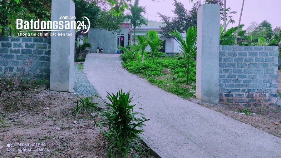 BÁN GẤP LÔ ĐẤT CÓ DT 4000m2 ( 350m2 ONT) VIEW NHÌN TOÀN BỘ RA SÂN GOLF PHƯỢNG HOÀNG