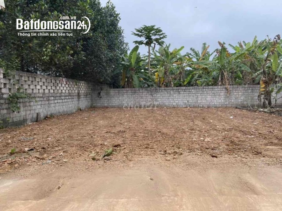 1 lô góc MT 4m full thổ 65m2, sát khu đất dịch vụ Tân Xã