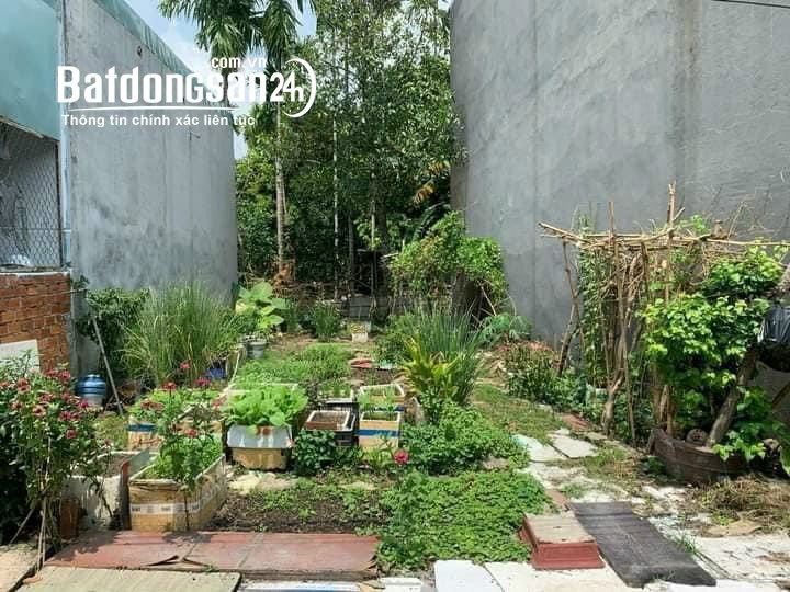 Đất Bình Nhâm Gần Cầu Ngang Hưng Định, Đường xe Ô Tô mà Giá Rẻ