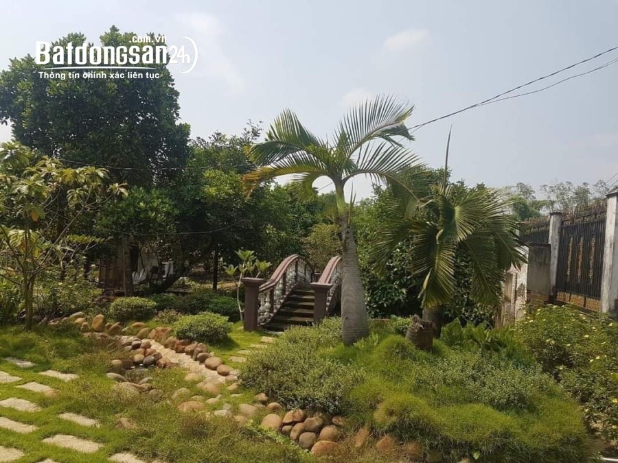 BÁN ĐẤT BÌNH MỸ CỦ CHI 3400M2 (50*70) CHỈ 17 TỶ CÓ TL 