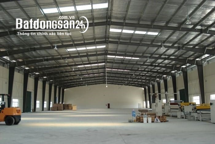 Bán kho xưởng, trang trại Đường Tỉnh Lộ 10, Xã Đức Hòa Đông, Huyện Đức Hoà