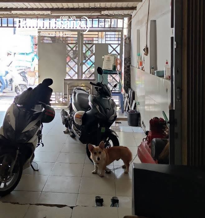 Bán nhà Đường Nguyễn Thái Sơn, Phường 5, Quận Gò Vấp