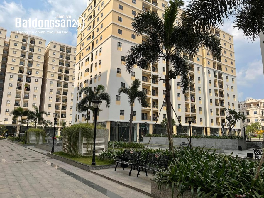 Giỏ hàng bán 12 căn hộ Cityland Park Hills 2 Phòng Ngủ / 2WC Tòa P1, P2, P3, P4, P5 
