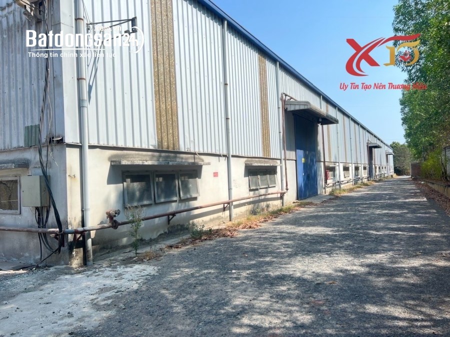 Cho thuê đất riêng, kho xưởng Đường Võ Nguyên Giáp, Phường Phước Tân, TP Biên Hòa