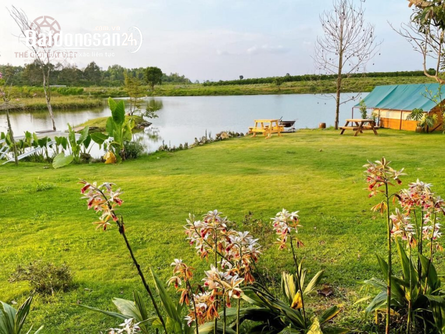 Mua bán đất nền organic Nature Garden Bình Phước