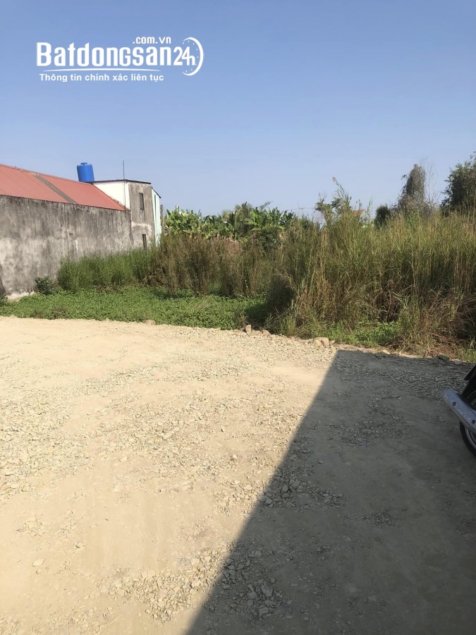 Bán đất Đường Tỉnh Lộ 824, Xã Hựu Thạnh, Huyện Đức Hoà