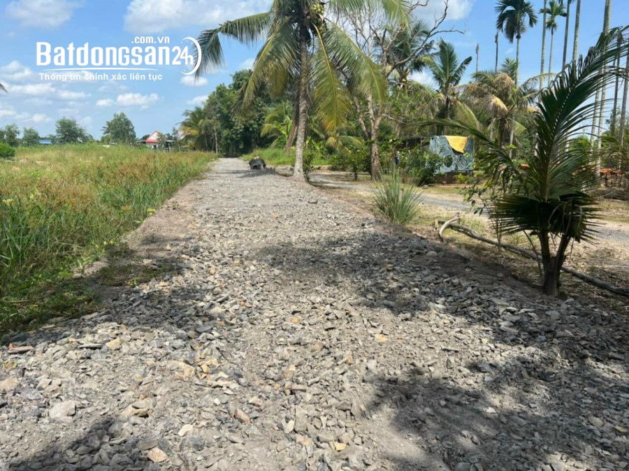 Bán đất Đường ĐT 824, Xã Hựu Thạnh, Huyện Đức Hoà