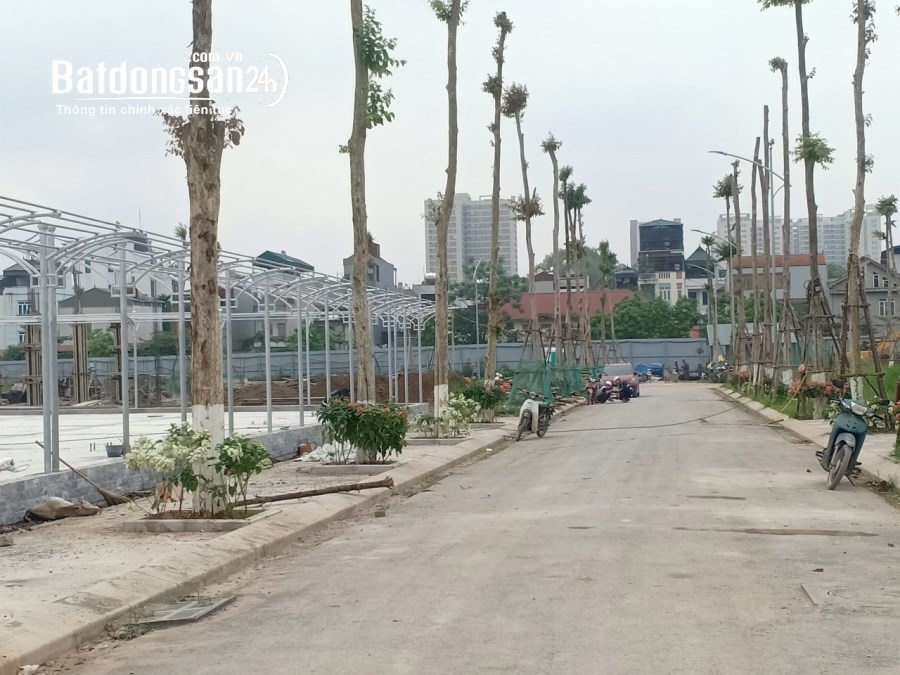 Đất Đấu Giá Rẻ Nhất Hoài Đức Với 342 Căn Liền Kề. DỰ ÁN ĐỨC THƯỢNG RESIDENCE