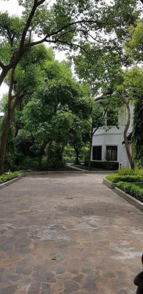CHÍNH CHỦ BÁN BIỆT THỰ VƯỜN NGỌC THỤY, 100% THỔ CƯ, Ô TÔ TRÁNH 1300M,GIÁ THƯƠNG LƯỢNG