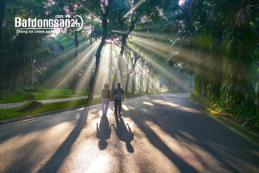 Cơ Hội Sở Hữu Căn Hộ Giá Tốt Nhất Tại Dự Án Fibonan - Chiết Khấu Lên Tới 9%