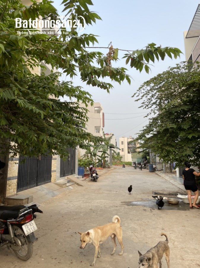 Bán đất Samsung Village, Đường Bưng Ông Thoàn, TP Thủ Đức (Quận 9)