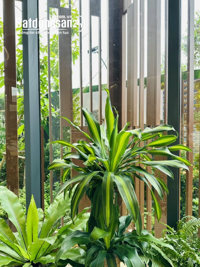 Cách Elysian tầm 2km - Cầu Tăng Long đang thi công đoạn chân cầu