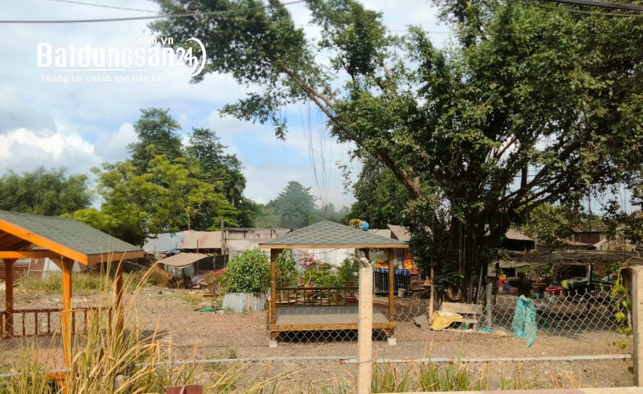 MẶT TIỀN LÊ VĂN KHƯƠNG-HÓC MÔN, GIÁP QUẬN 12- 3300M2(40*83) CHỈ 32 TỶ TL