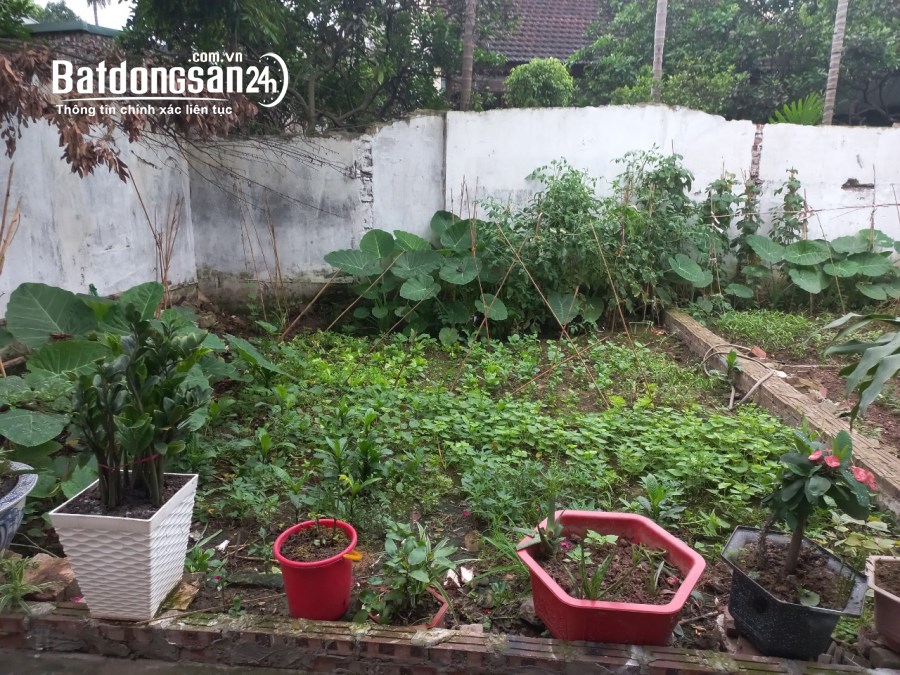 Bán đất Đường Thượng Cát, Phường Thượng Cát, Quận Bắc Từ Liêm
