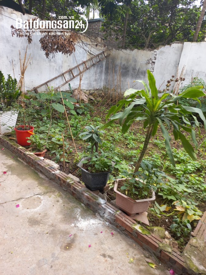 Bán đất Đường Thượng Cát, Phường Thượng Cát, Quận Bắc Từ Liêm