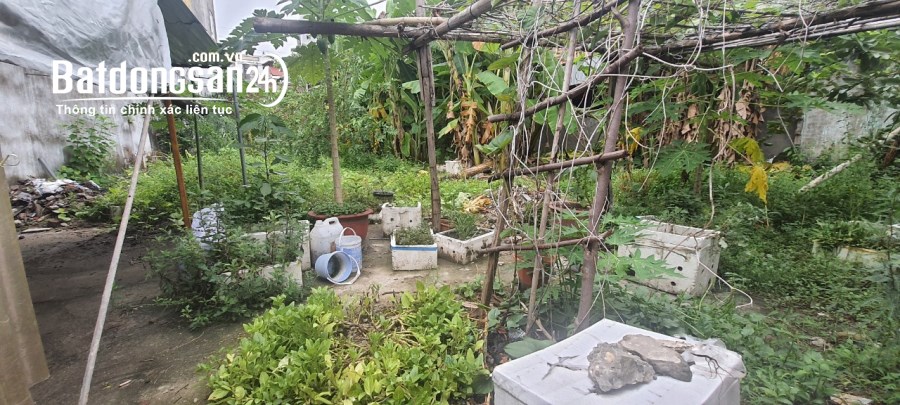 Bán đất Đường Nguyễn Tất Thành, Phường Khai Quang, Tp Vĩnh Yên