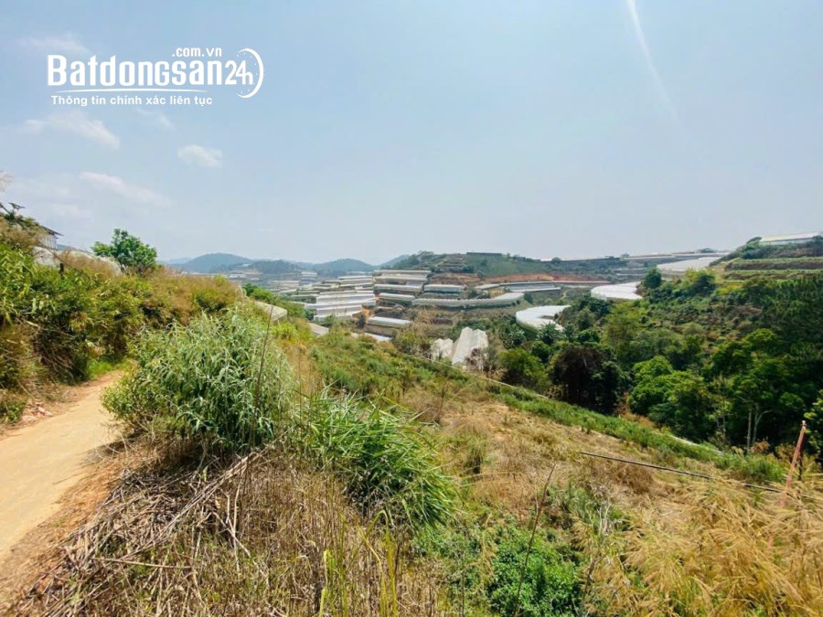 BÁN ĐẤT NÔNG NGHIỆP TẠI ĐƯỜNG XUÂN THÀNH, XUÂN THỌ, TP ĐÀ LẠT