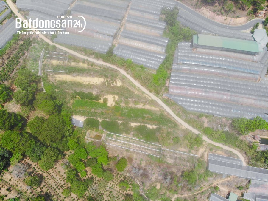 BÁN ĐẤT NÔNG NGHIỆP TẠI ĐƯỜNG XUÂN THÀNH, XUÂN THỌ, TP ĐÀ LẠT