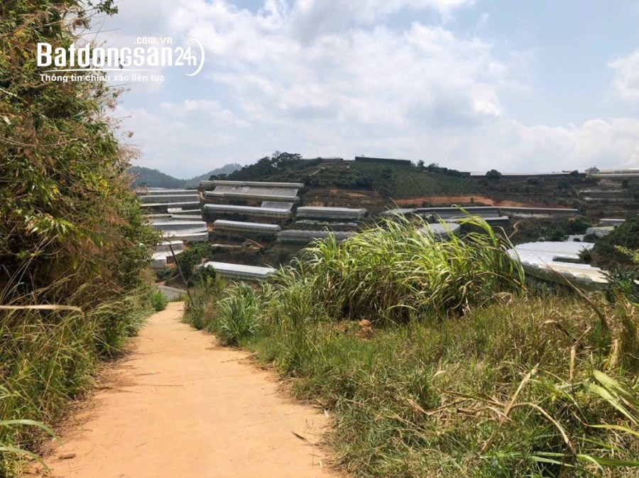 BÁN ĐẤT NÔNG NGHIỆP TẠI ĐƯỜNG XUÂN THÀNH, XUÂN THỌ, TP ĐÀ LẠT