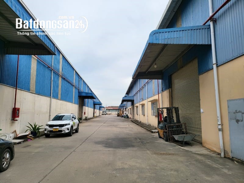 Cho thuê đất riêng, kho xưởng Đường 13, Phường Chánh Phú Hòa, Tp Bến Cát