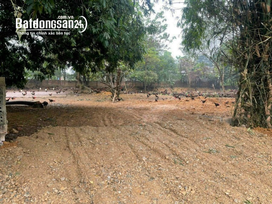 BÁN ĐẤT NGHỈ DƯỠNG GẦN QL21A Xã Hoàng Văn Thụ, Huyện Chương Mỹ