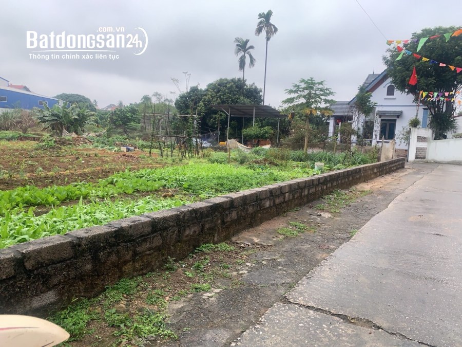 BÁN ĐẤT NGHỈ DƯỠNG GẦN QL21A Xã Hoàng Văn Thụ, Huyện Chương Mỹ