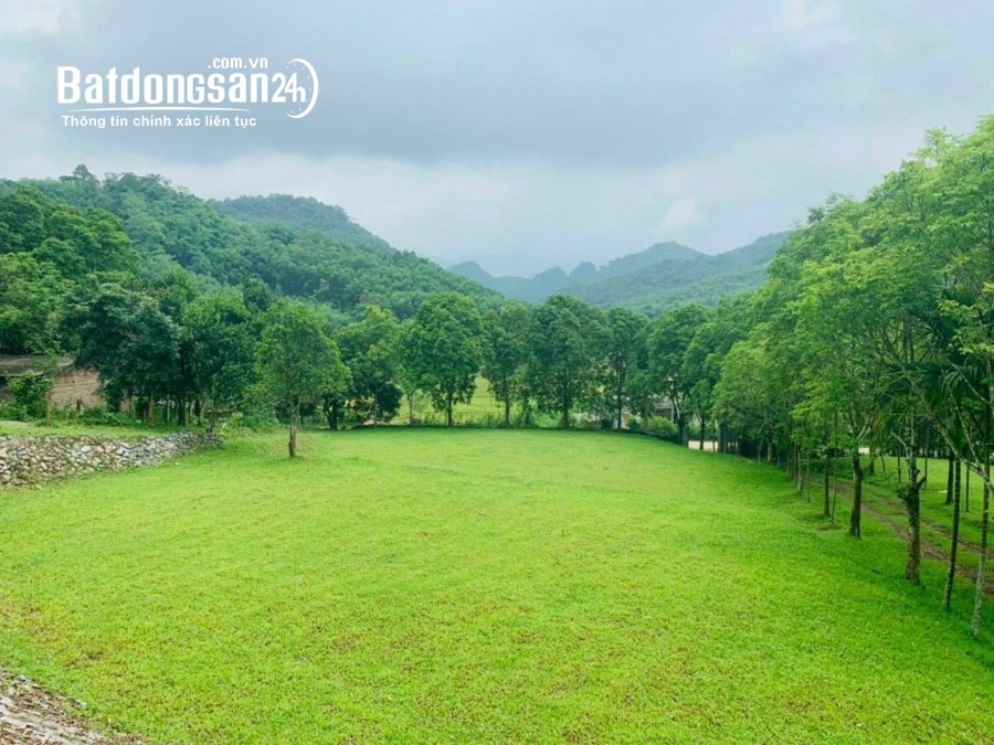 BÁN ĐẤT NGHỈ DƯỠNG  Xã Tân Thành, Huyện Lương Sơn