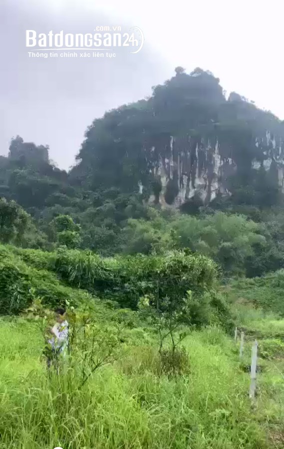 BÁN ĐẤT NGHỈ DƯỠNG Xã Cao Dương, Huyện Lương Sơn