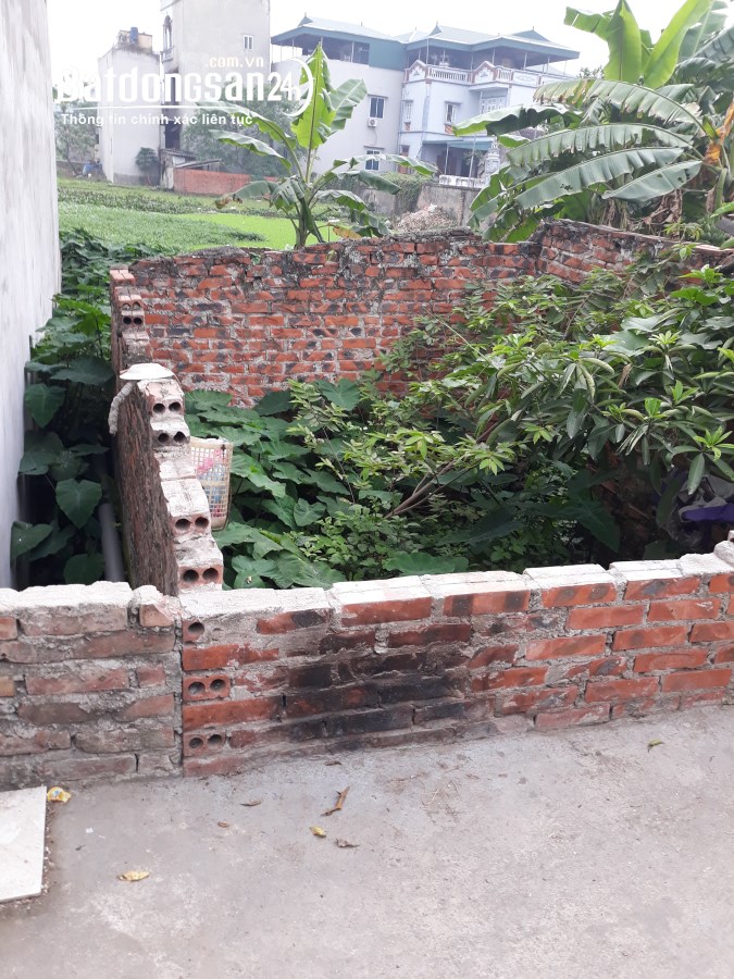 Bán đất Đường Thượng Phúc, Xã Tả Thanh Oai, Huyện Thanh Trì
