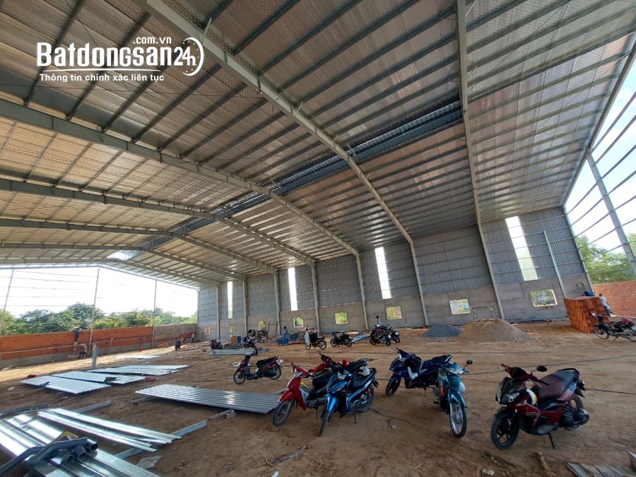 Cho thuê đất riêng, kho xưởng Đường 13, Xã Tân Định, Tp Bến Cát