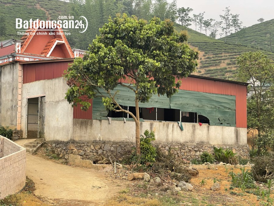 Bán đất Đường 6, Thị trấn Nông trường Mộc Châu, Huyện Mộc Châu