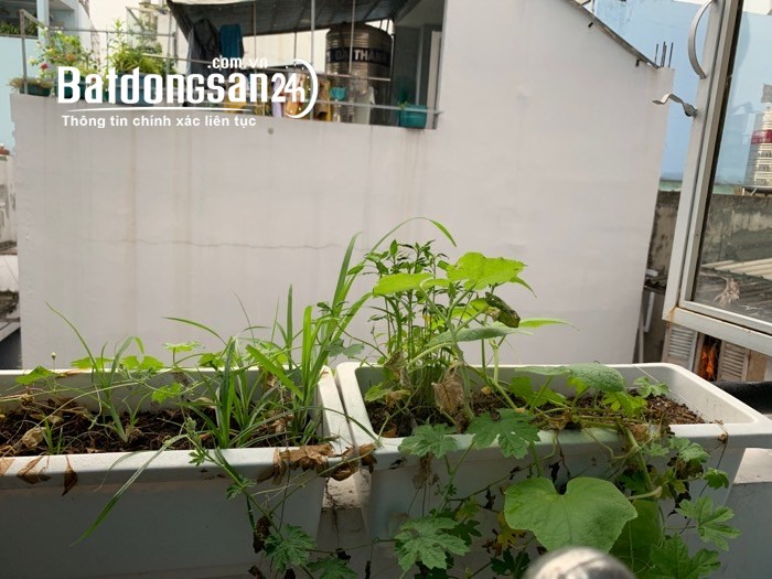 Bán nhà Đường Võ Văn Kiệt, Phường 1, Quận 5