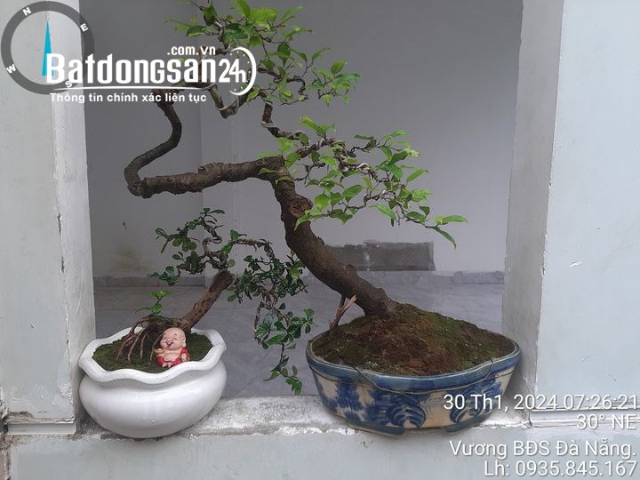 Bán đất Đường Trần Đình Tri, Phường Hòa Minh, Quận Liên Chiểu
