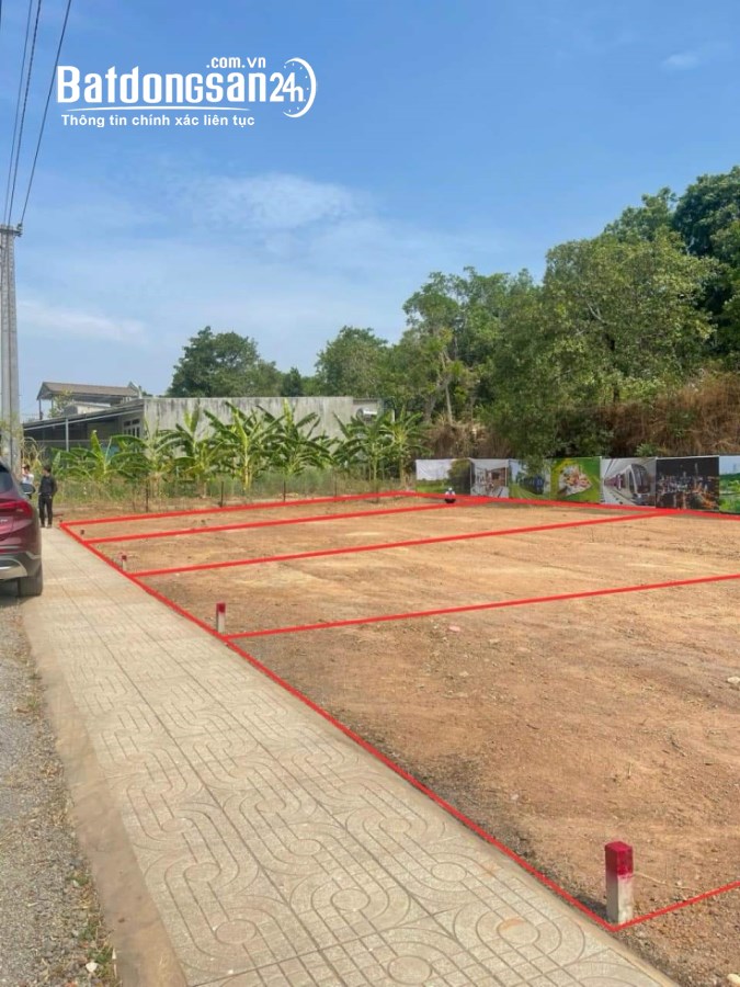 Bán đất Đường 769, Xã Hưng Lộc, Huyện Thống Nhất