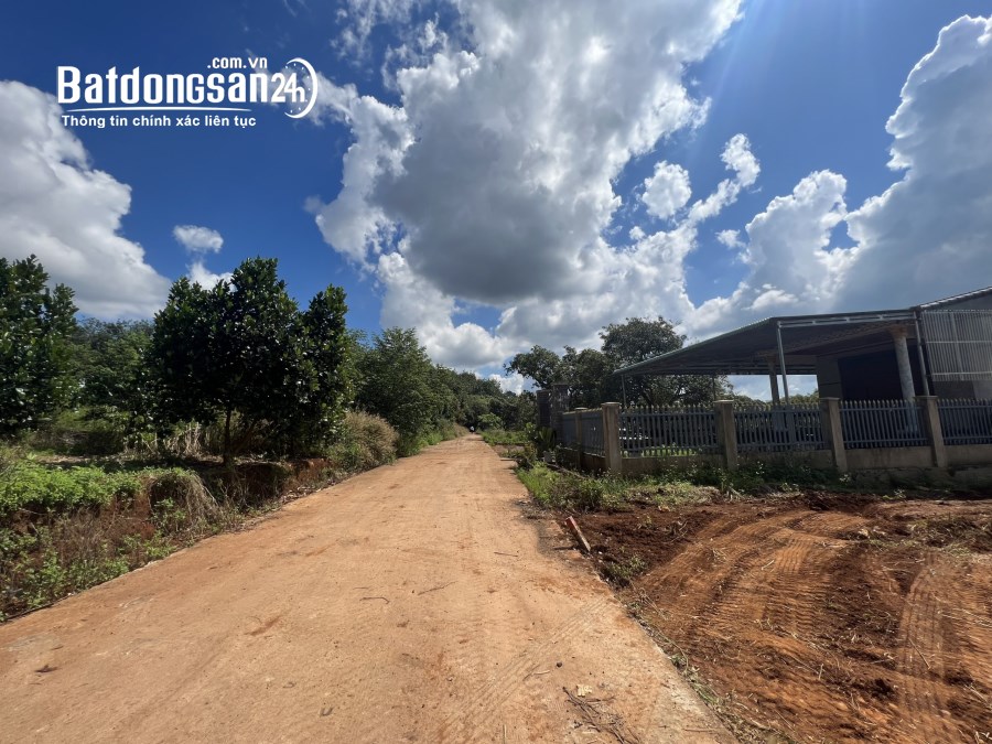 Bán đất Đường Tỉnh lộ 741, Xã An Bình, Huyện Phú Giáo