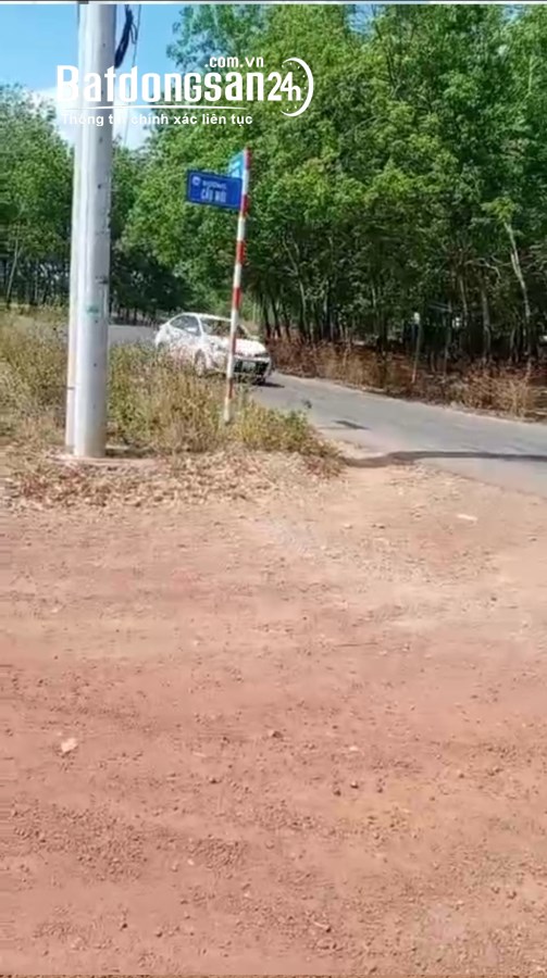 Bán đất Đường ĐT 741, Phường Tân Thiện, Tp Đồng Xoài