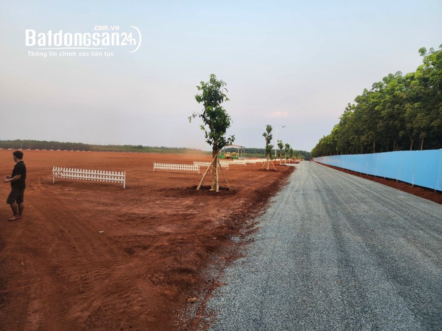 BÁN GẤP ĐẤT SÀO PHÂN LÔ 1000M2 10x100
