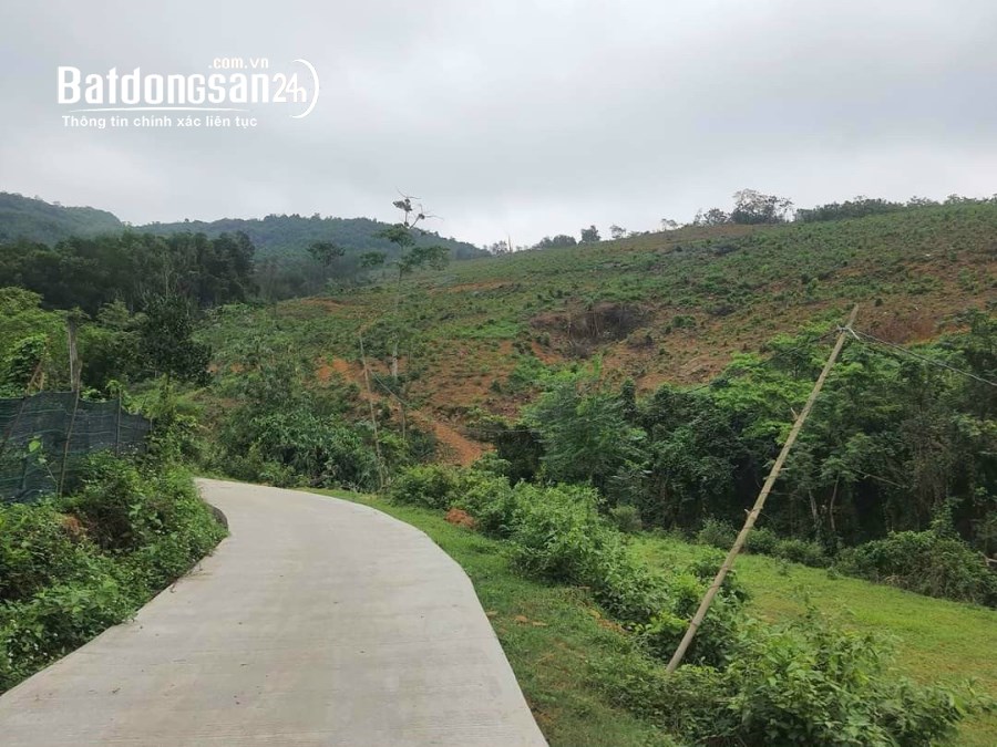 Bán 10.000m2 có 1000m2 thổ bám suối bám đường khoảng 100m giá hơn 1tr/m2 Kỳ Sơn Hoà B