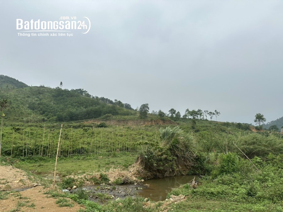 Bán 10.000m2 có 1000m2 thổ bám suối bám đường khoảng 100m giá hơn 1tr/m2 Kỳ Sơn Hoà B