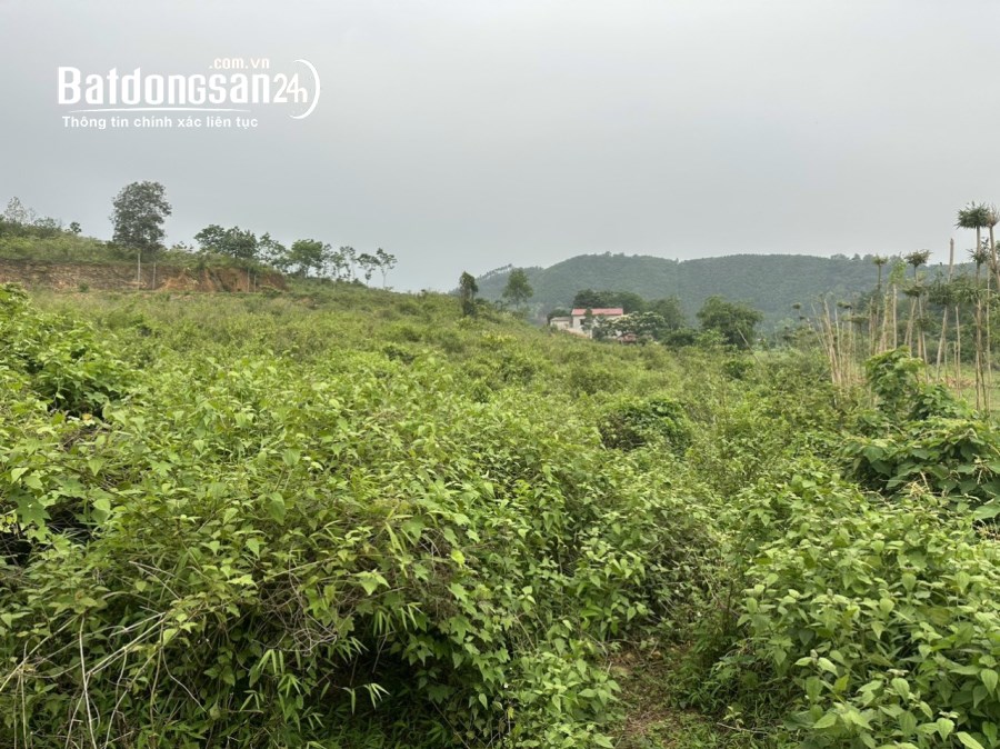 Bán 10.000m2 có 1000m2 thổ bám suối bám đường khoảng 100m giá hơn 1tr/m2 Kỳ Sơn Hoà B