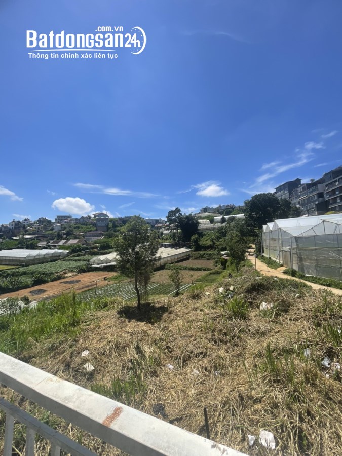MỘT KHÔNG GIAN VÔ CÙNG ẤM CÚNG VỚI CĂN NHÀ VIEW THOÁNG RỘNG PHƯỜNG 7 