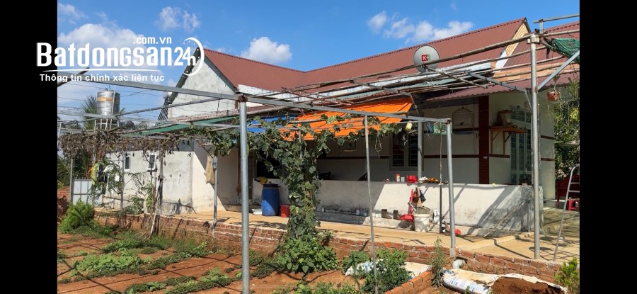 8,8 sào nhà đẹp 3 phòng ngủ giá rẻ tại thành phố Gia Nghĩa tỉnh Đắk Nông